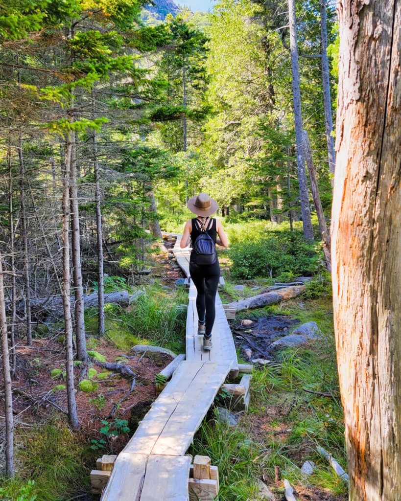 Hiker walks along boardwalk of Jordan Pond Path in Acadia National Park in Maine in Summer